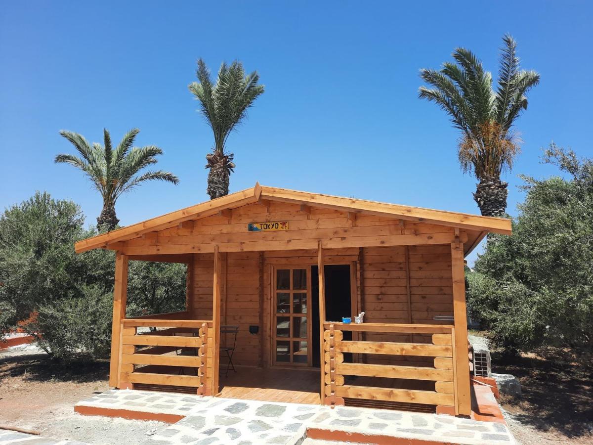 Cyprus Glamping Park Hotel Agios Theodoros Eksteriør billede