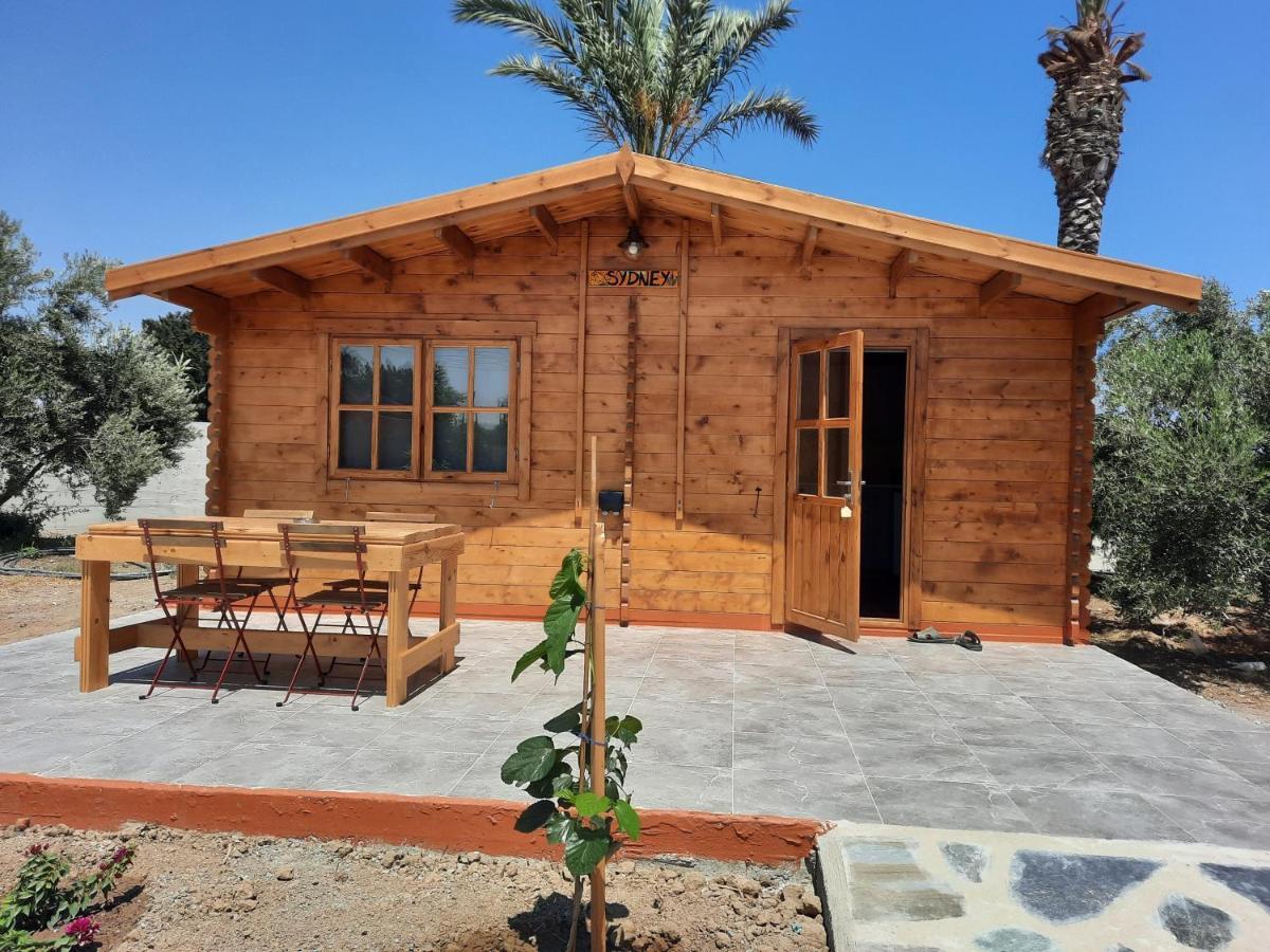 Cyprus Glamping Park Hotel Agios Theodoros Eksteriør billede